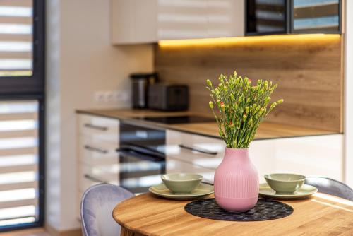 Palanga Apartment | Apartamentas Vanagupės parke