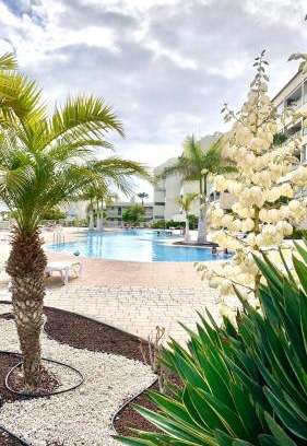 Palm-Mar Apartment | Apartamento Las Palmeritas Palm Mar Tenerife Sur