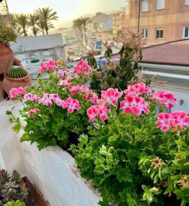 Torrenueva Apartment | Apartamento Mirador de Jolucar