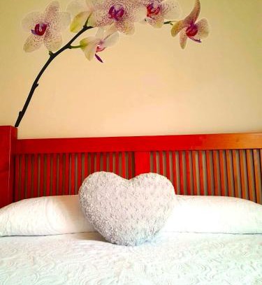 Old Town Apartment | Apartamento turístico Amantes