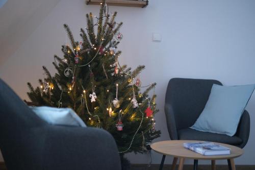 Male Ciche Apartment | Apartamenty widokowe Zakopane