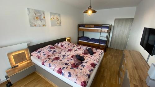 Cerny Dul Apartment | Apartmán Bára