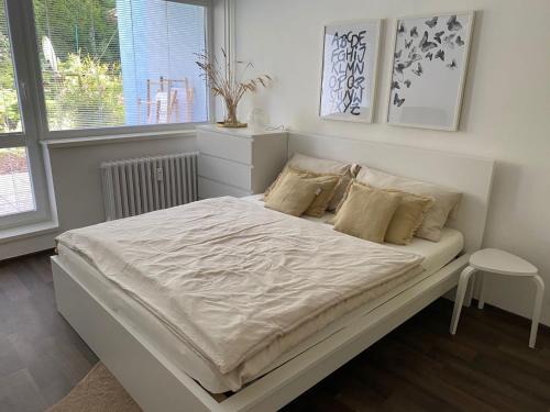 Luhacovice Apartment | Apartmán Luhačovice II.