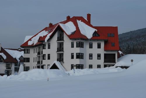 Harrachov Apartment | Apartmán SKOK