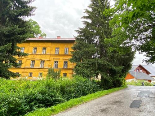 Rokytnice nad Jizerou Apartment | Apartma 299