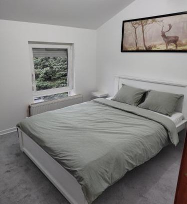 Palilula Apartment | Apartman Ingrid