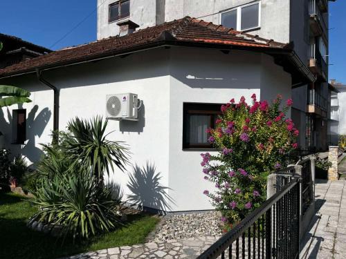 Mali Radic Apartment | Apartman Orhideja