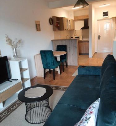 Pirot Apartment | Apartman Panic