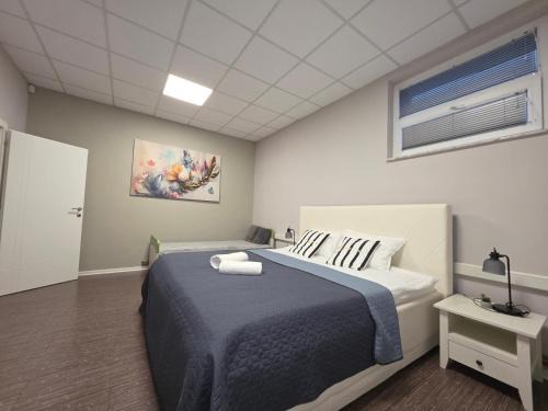 Mali Radic Apartment | Apartmani EMA Bihać
