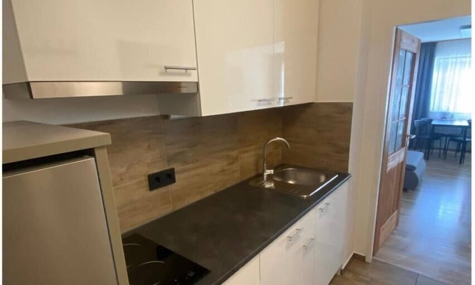 Waldkirchen Apartment | Apartment (32sqm) with kitchenette