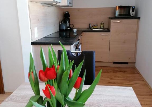 Mariapfarr Apartment | Apartment Bauer