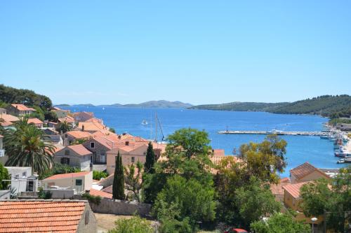 Island Dugi Otok Apartment | Apartment Blue