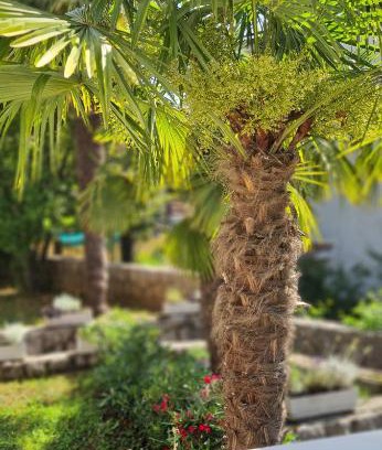Mihotici Apartment | Apartment Garden & Sea