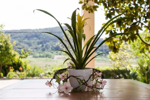 Supetarska Draga Apartment | Apartment Gulić