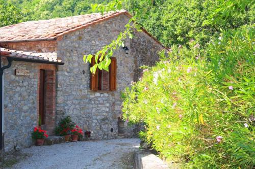Montieri Apartment | Apartment in Montieri - Toskana 38264