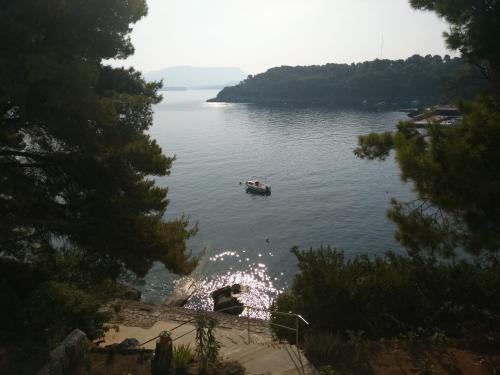 Kolocep Island Apartment | Apartment Iva&Andro