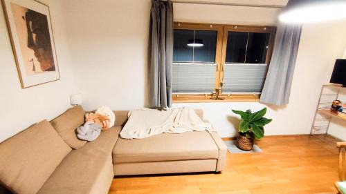 Stall Apartment | Apartment Mizi