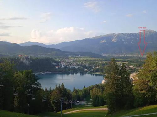 Zirovnica Apartment | Apartment Mojca near Bled