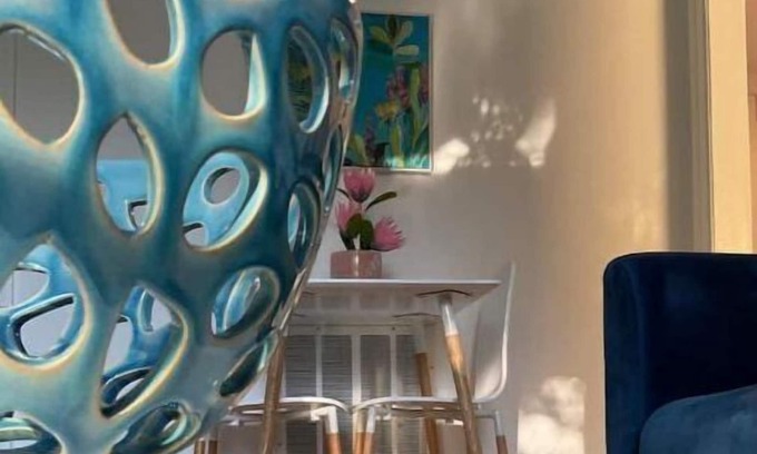 Davis Islands Apartment | Apartment on Davis Islands
