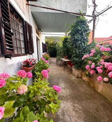 Veli Losinj Apartment | Apartment Renata
