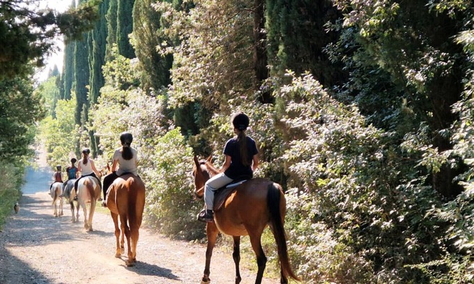 Monteroni d'Arbia Apartment | Apartment 'Romantico' – Farm Stay with View of Siena