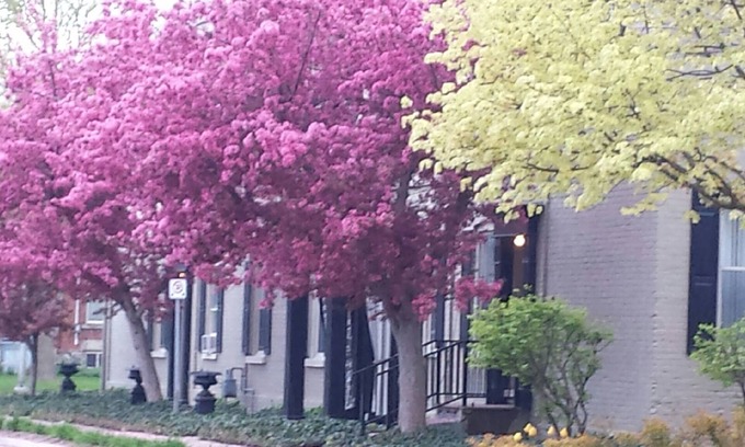 Stratford Apartment | Apartment Suite close to theatres, shopping, restaurants