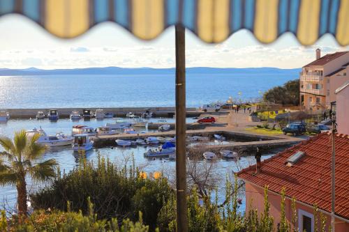 Petrcane Apartment | Apartment Tea with Sea View