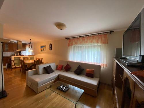 Fuzine Apartment | Apartment Tody's