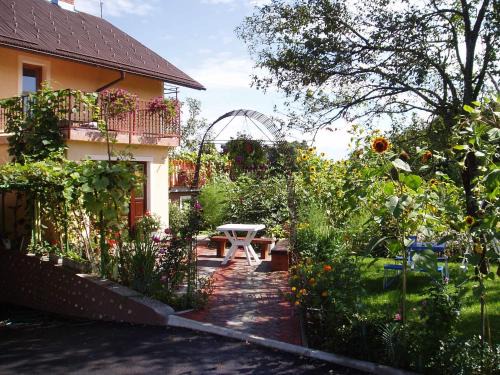 Catrnja Apartment | Apartments Ana