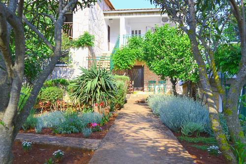 Cove Basina (Jelsa) Apartment | Apartments Basina