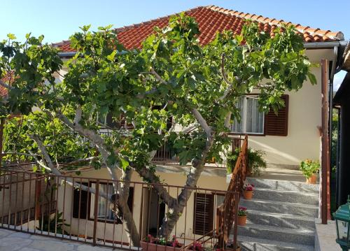 Municipality of Posedarje Apartment | Apartments by the sea Posedarje, Novigrad - 12402