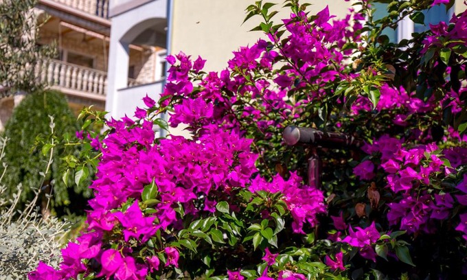 Kraljevica Apartment | Apartments Kovačić