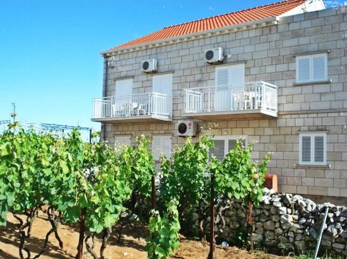 Vela Glavica Apartment | Apartments Krila