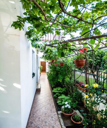 Brulo Apartment | Apartments Lea Poreč