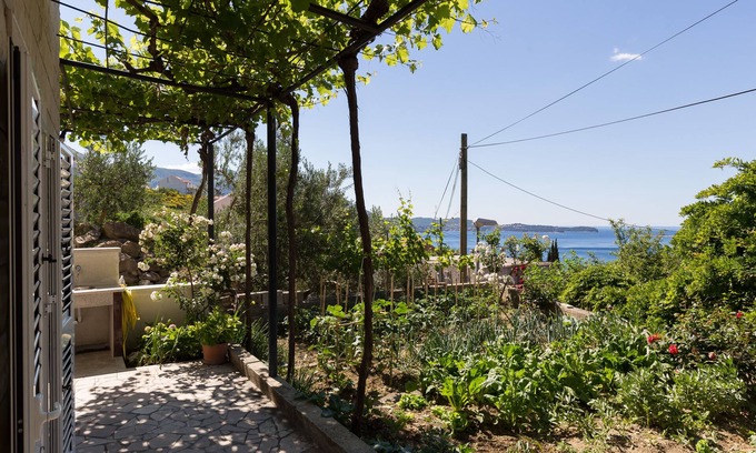 Mlini Apartment | Apartments Olive