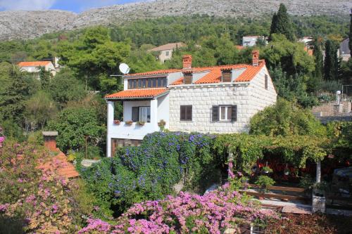 Gornji Kono Apartment | Apartments with WiFi Dubrovnik - 8581
