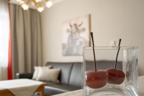 Schonbach Apartment | Appartement Erwin & Eleonore Hüttl - Top 1