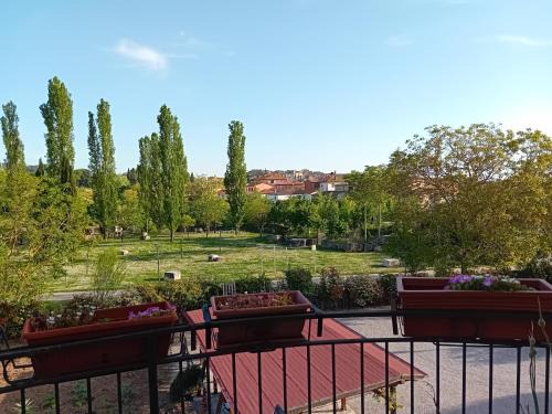 Rapolano Terme Apartment | Appartamento Le Ginestre