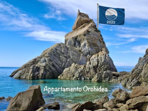 Parghelia Apartment | Appartamento Orchidea