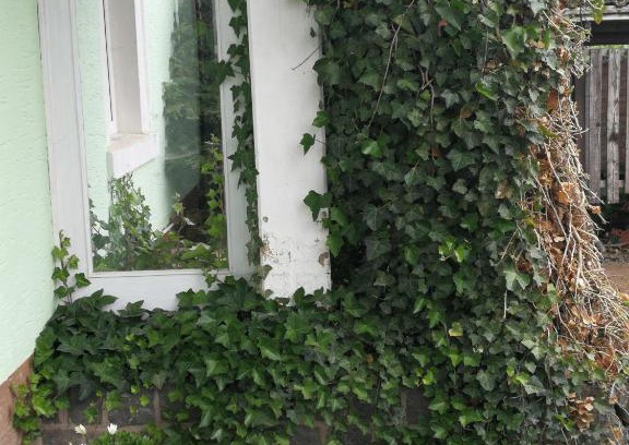 Kelberg Apartment | Appartement EIFEL im Haus Sybille