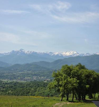 Taurignan-Castet Apartment | Appartement en campagne