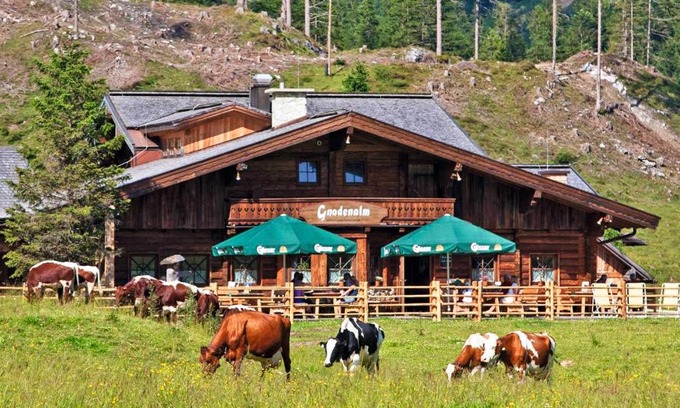 Untertauern Apartment | Appartement Gnadenalm