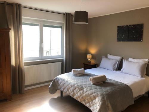 Colmar Apartment | Appartement l'œil de Colmar