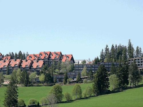 Schonach im Schwarzwald Apartment | Appartmentvermietung Terrassenpark Schonach