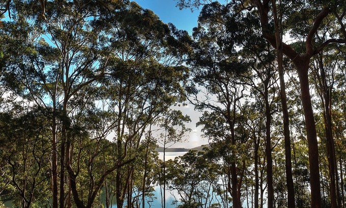 Smiths Lake House | Aqua Vista - Stunning lake and tree top views. Relaxing Holiday