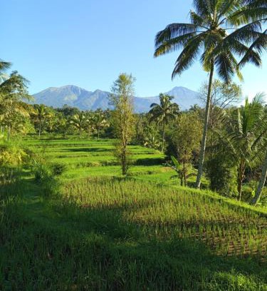 Tetebatu Apartment | are twin bungalows