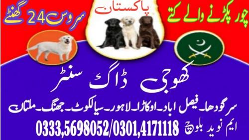 Faisalabad Apartment | Army Dog Center Faisalabad