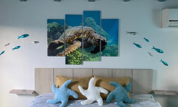 Shiribana Other | Aruba Local Stay