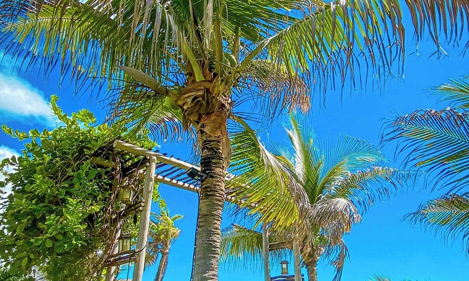 Canoa Quebrada Hotel | Asas del Mar
