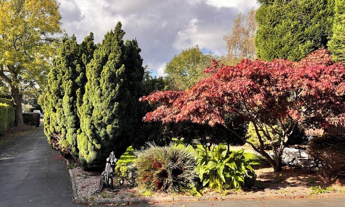 Belfast Bed & Breakfast | Ashfield Bed and Breakfast